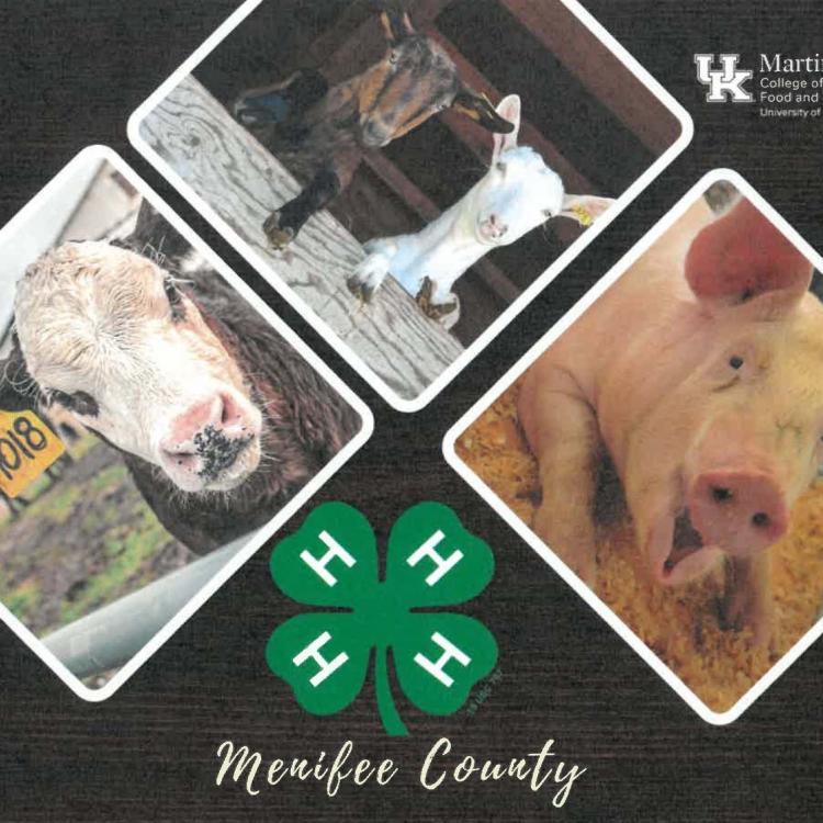  Menifee 4-H